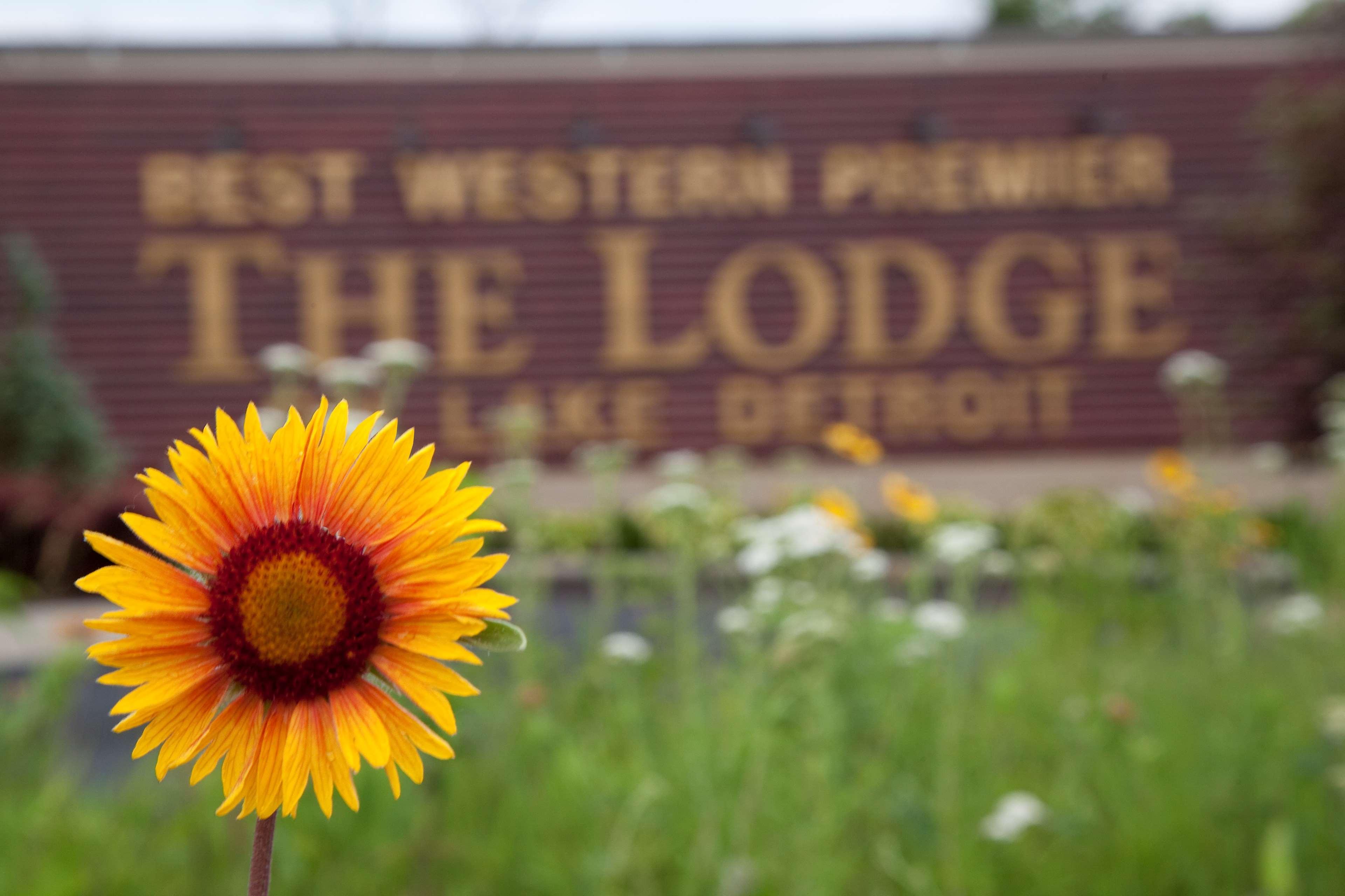 Best Western Premier The Lodge On Lake Detroit Детройт-Лейкс Екстер'єр фото